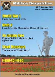 Vol 17 November 2018.pdf